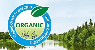 Спокоен пейзаж на гориста местност до спокойно езеро е покрит с голямо, цветно лого.