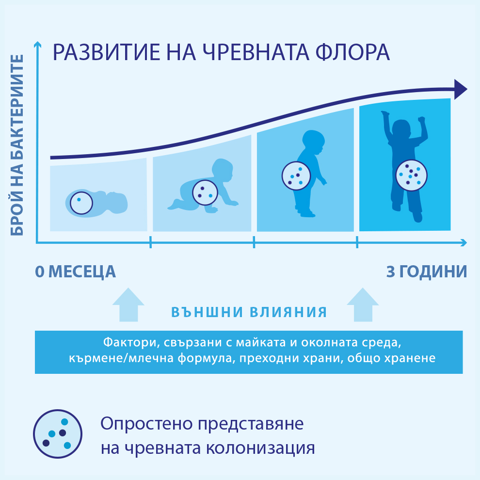 Развитието на храносмилателната система на детето от раждането до тригодишна възраст, с акцент върху растежа на стомаха и червата и съзряването на храносмилателния тракт.