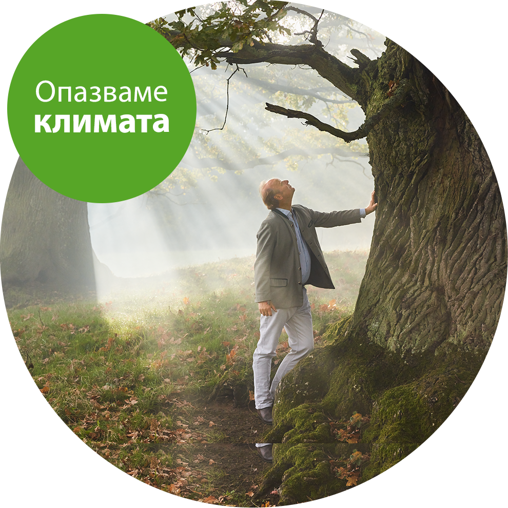 Мъж в сив костюм стои до голямо старо дърво в мъглива гора.
