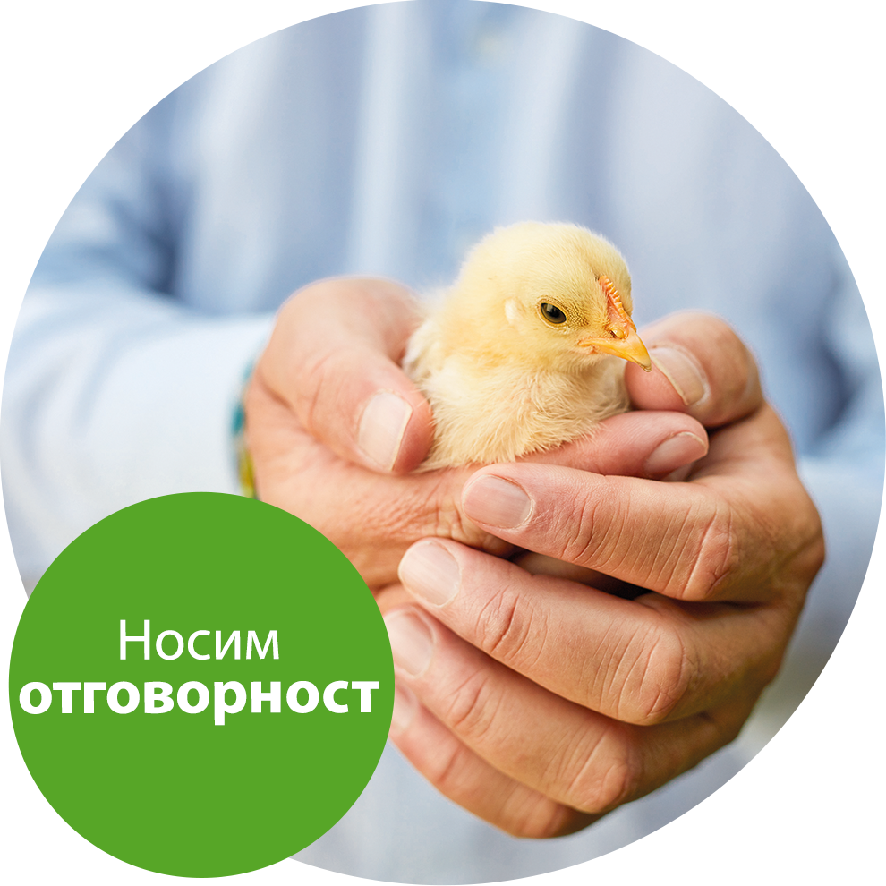 Една ръка държи жълто пиленце.