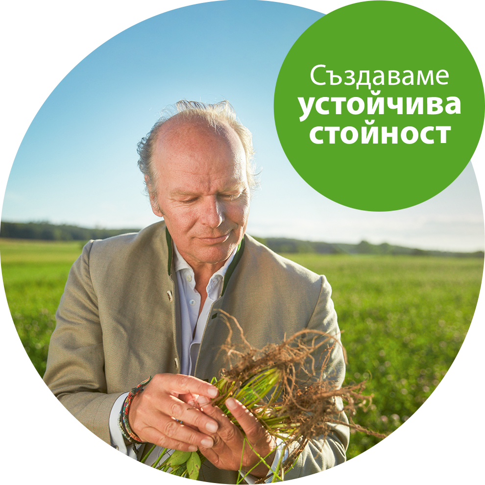 Възрастен мъж в бежов костюм разглежда храст с растения в полето.