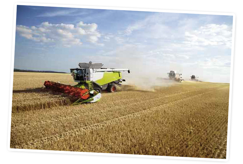 A combine harvester is working in a wheat field, producing a trail of dust.