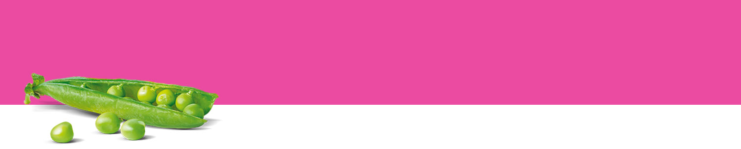 A split pea pod with green peas against a pink background.
