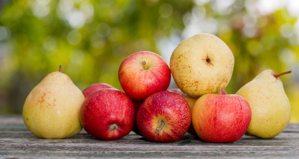 A pile of red apples and yellow pears on a wooden surface with a blurred green background.