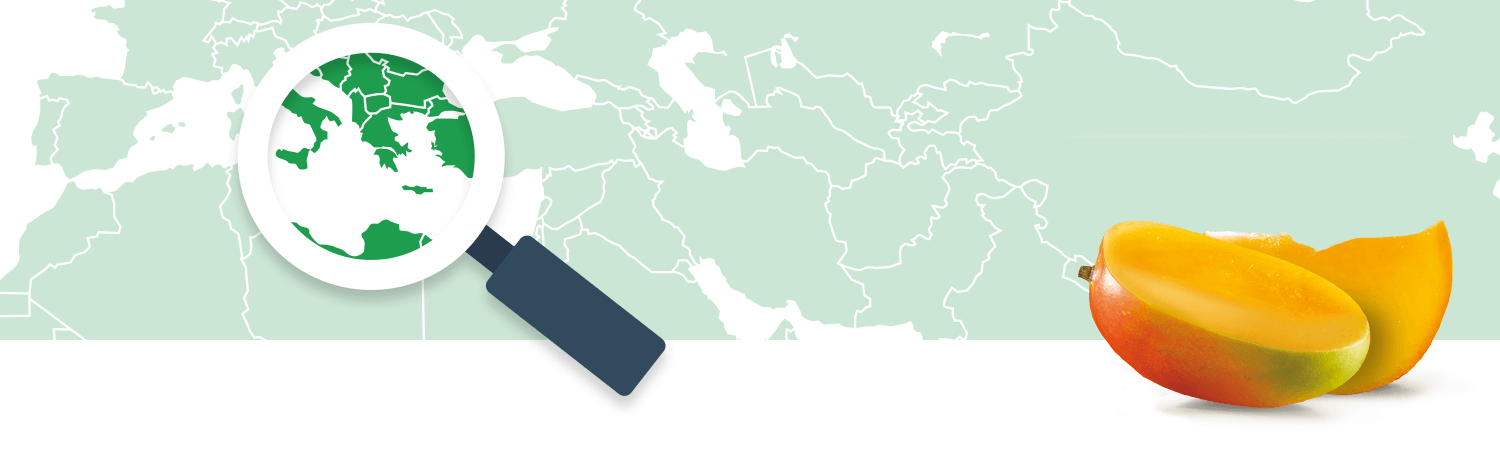 A magnifying glass focuses on a region of a world map, while a mango sits to the right.