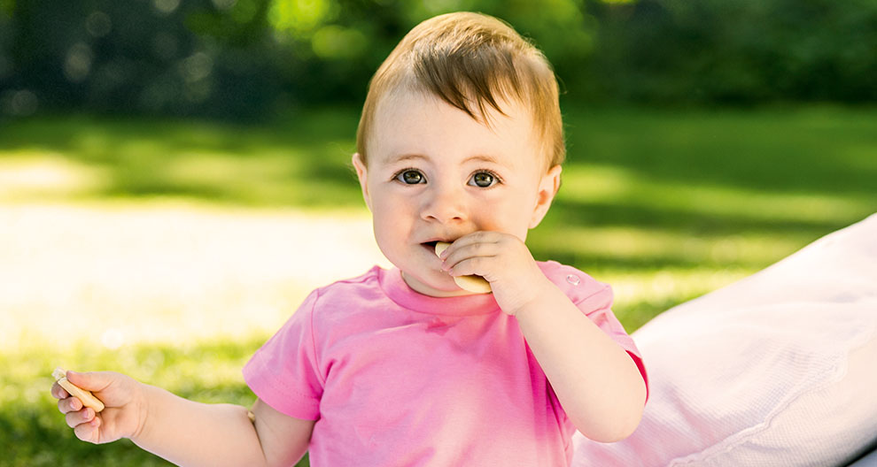 A toddler in a pink shirt is seated outdoors, holding a biscuit in one hand and a small object in the other.